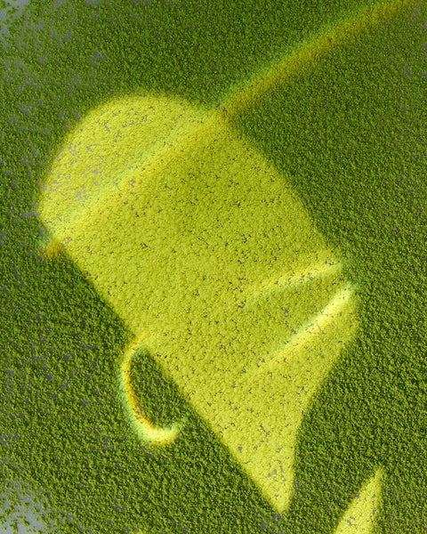 CAP - Matcha - CAP Grocery