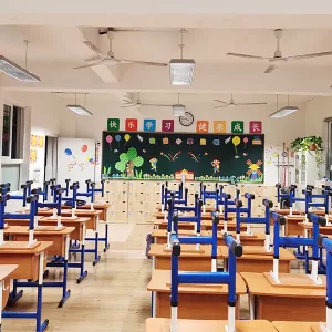 LED Classroom Light